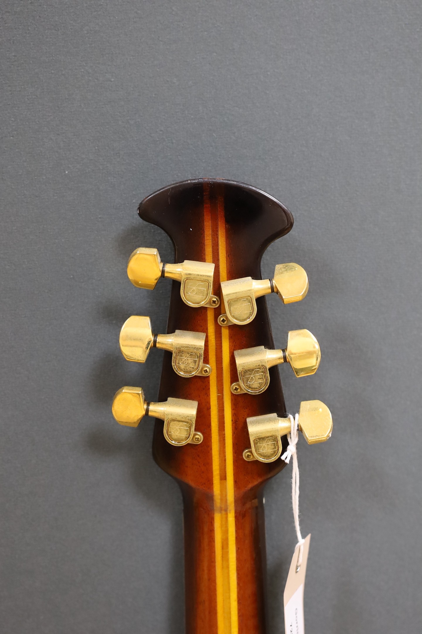 An Ovation acoustic guitar